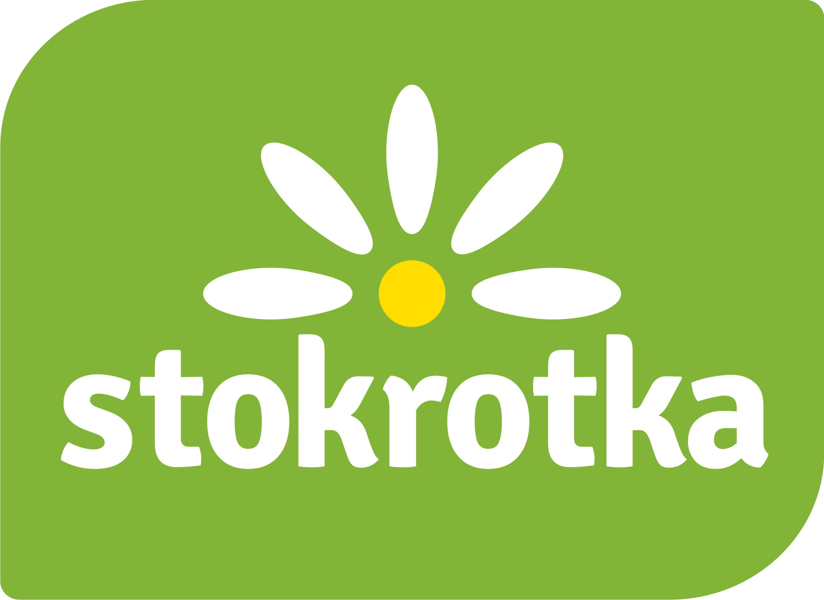 stokrotka